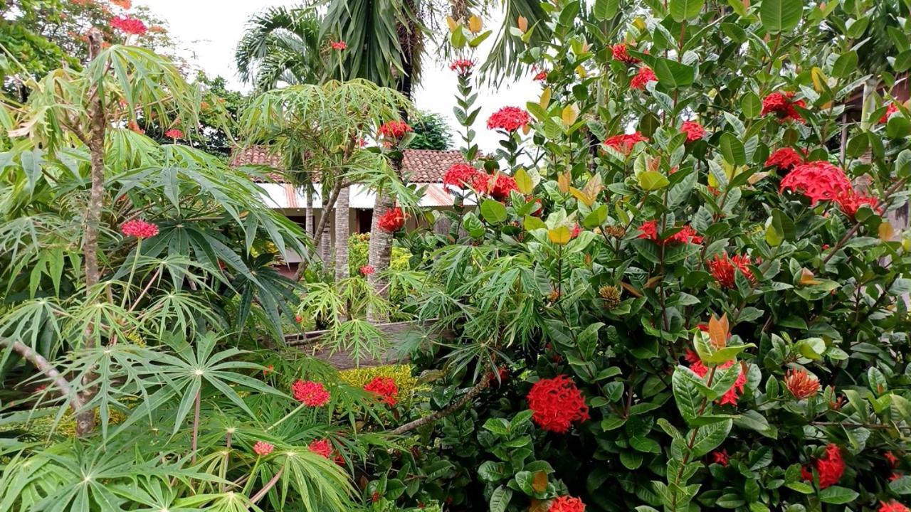Finca Magdalena Eco Lodge Balgue Екстер'єр фото