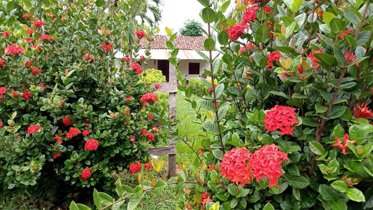 Finca Magdalena Eco Lodge Balgue Екстер'єр фото