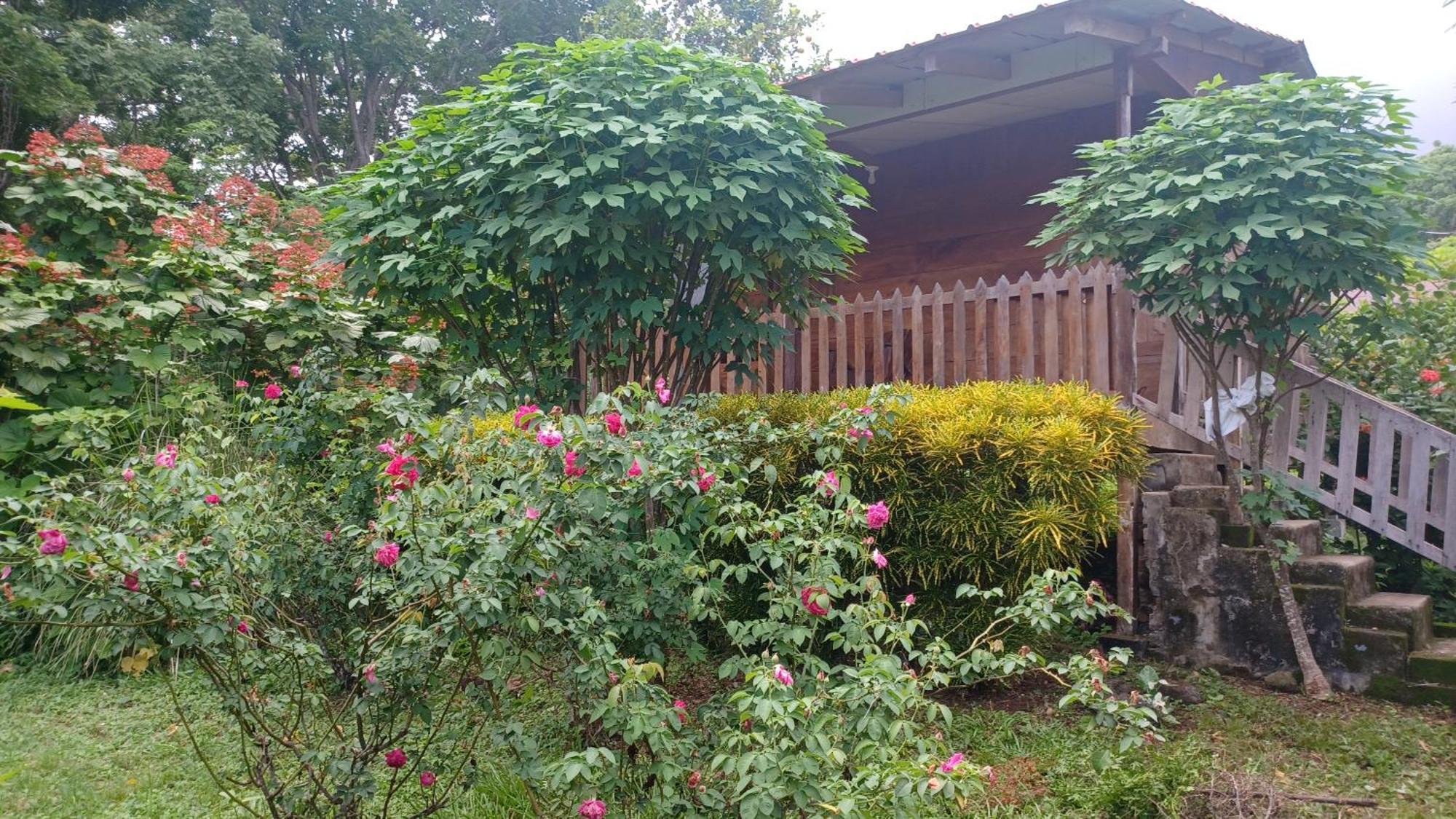 Finca Magdalena Eco Lodge Balgue Екстер'єр фото