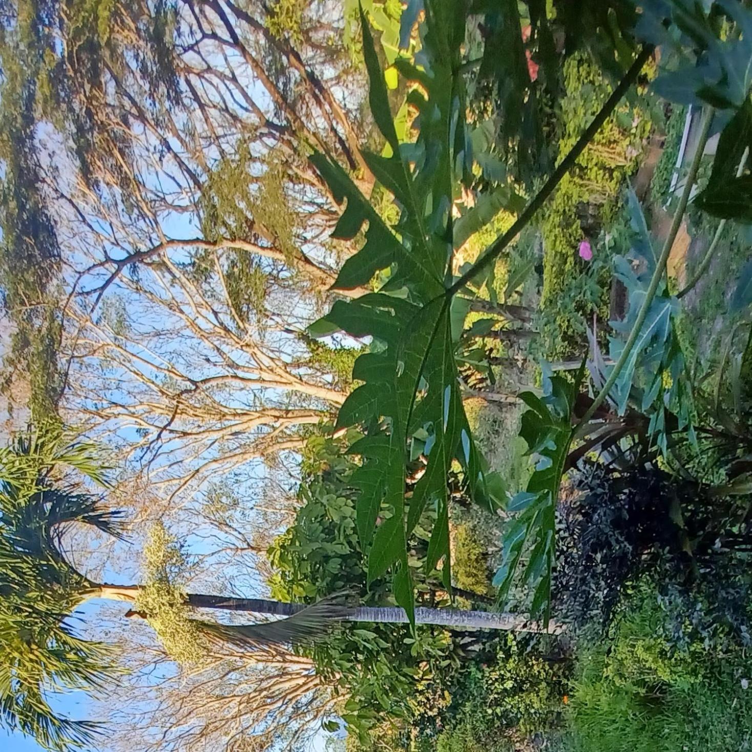 Finca Magdalena Eco Lodge Balgue Екстер'єр фото
