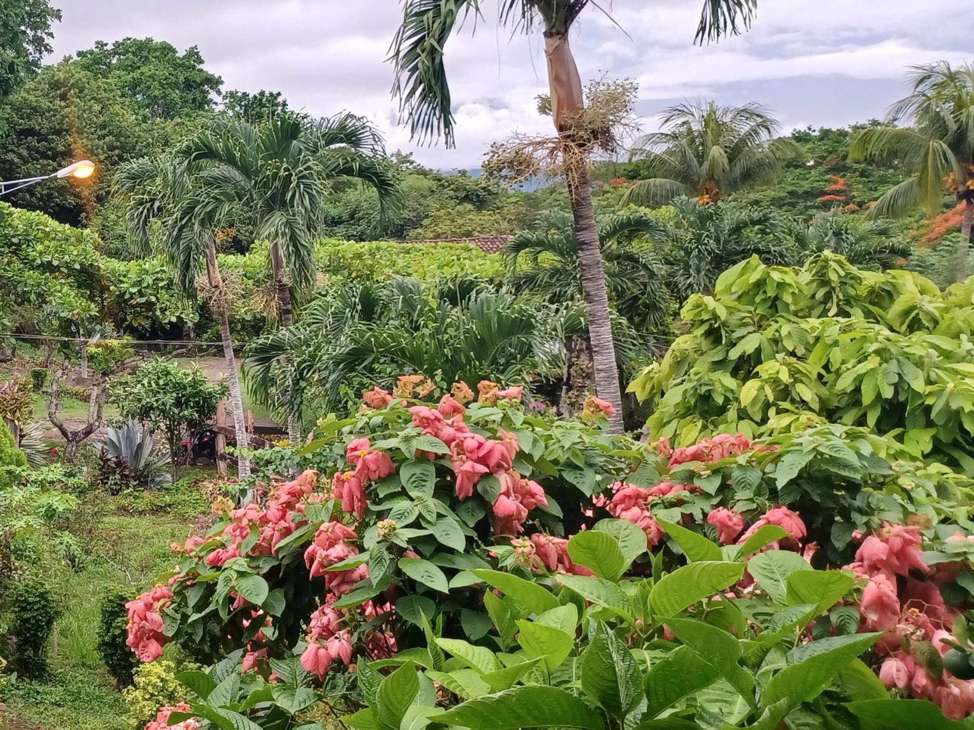 Finca Magdalena Eco Lodge Balgue Номер фото